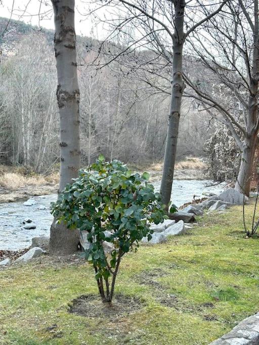 Acogedor Alojamiento En Martinet, Cerdanya, Puigcerda ภายนอก รูปภาพ
